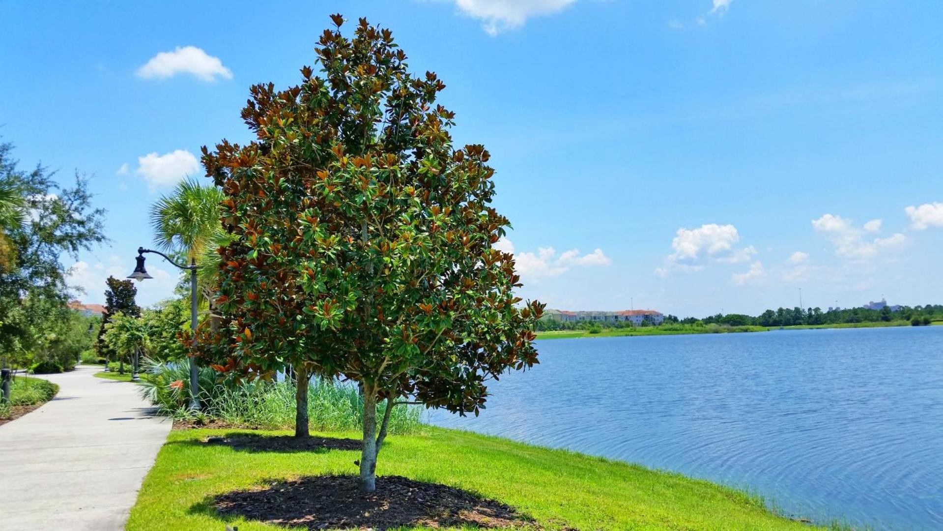 Stylish Vista Cay Townhome Near Conv. Ctr I-Dr. Orlando Eksteriør bilde